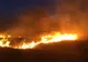 Incendiile de vegetație, un pericol actual