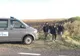 Grup de migranți prins la ieșire din Timiș către Serbia