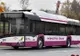 Ministerul Dezvoltării cumpără 44 de autobuze pentru Timișoara. A fost lansată licitația