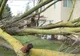 Seara de coșmar la Timișoara și în județ. Rămâneți în case, este pericol
