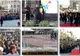 Spectacol făcut de studenți la Gala Absolvenților din Piața Victoriei din Timișoara. Foto
