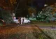 Tânără înjunghiată mortal în Parcul Catedralei, la Timișoara