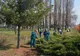 Un nou parc în Timișoara, după dezastrul spațiilor verzi din oraș