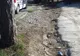 Accident grav în Timiș, un microbuz s-a ciocnit de un TIR