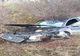 Arad: AUDIO FOTO Două persoane rănite, după ce șoferului i s-ar fi făcut rău la volan și a ieșit cu mașina pe un câmp de la marginea DN79 Arad-Oradea