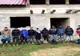 20 de cetăţeni străini, depistaţi în apropierea frontierei cu Ungaria