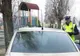 Amenzi cu nemiluita în parcurile din Timișoara. În ce hal au ajuns  