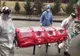 Coronavirus la Timișoara: cele mai recente detalii