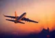 De la Timișoara spre Germania: încă un avion cu sezonieri