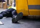 Bărbat grav rănit, în județul Timiș, după ce buldoexcavatorul pe care lucra s-a răsturnat peste el