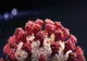Coronavirus raportul zilei | Situaţia pe judeţe