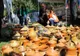 Târgul meșterilor populari și Piața micilor producători, la Muzeul Satului Bănățean