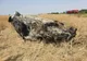 Accident pe o șosea din Timiș: mașinile implicate s-au răsturnat pe câmp