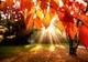 Vreme frumoasă, în weekend, în vestul țării