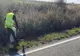 11 tone de gunoaie, adunate în campania de strângere a deșeurilor de pe drumurile județene