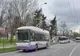 Grevă în transportul public din Timișoara