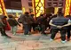 10 migranți din India și Pakistan depistați de polițiștii locali în zona Sever Bocu – Calea Aradului
