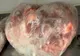 Alertă alimentară! Peste 6 tone de carne congelată, depistate de ANSVSA cu termenul de valabilitate schimbat