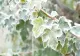 Vremea 2 ianuarie - Început de an cu temperaturi de primăvară
