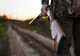 Controale la vânătoare, ce nereguli au fost constatate