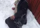 Ajutor pentru oamenii  fără adăpost din Timișoara, în perioada cu frig extrem