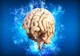 Alzheimer: Ar putea retina să prezinte semne timpurii de boală?
