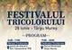 MARȘUL TRICOLORULUI UNEȘTE PATRIOȚII LA TÂRGU MUREȘ: EVENIMENT DE MÂNDRIE NAȚIONALĂ