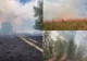 Incendii de vegetație în Timiș: peste 44 de hectare au ars în 24 de ore. Amenzi de până la 100.000 de lei