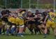 Finalistele din sezonul trecut din Superliga se întâlnesc în semifinale. Timișoara Saracens primește Știința Baia Mare