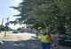 Toaletări ale arborilor din intersecții, pentru un trafic în siguranță
