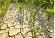 O treime din teritoriul României şi 40% din suprafaţa agricolă se află în zone care prezintă risc de deşertificare